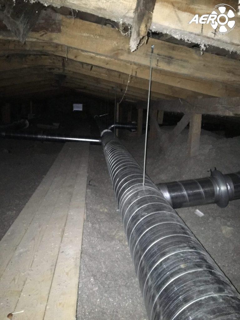 Photo-12-10-2018-09-34-45-e1571852167409-scaled-768x1024