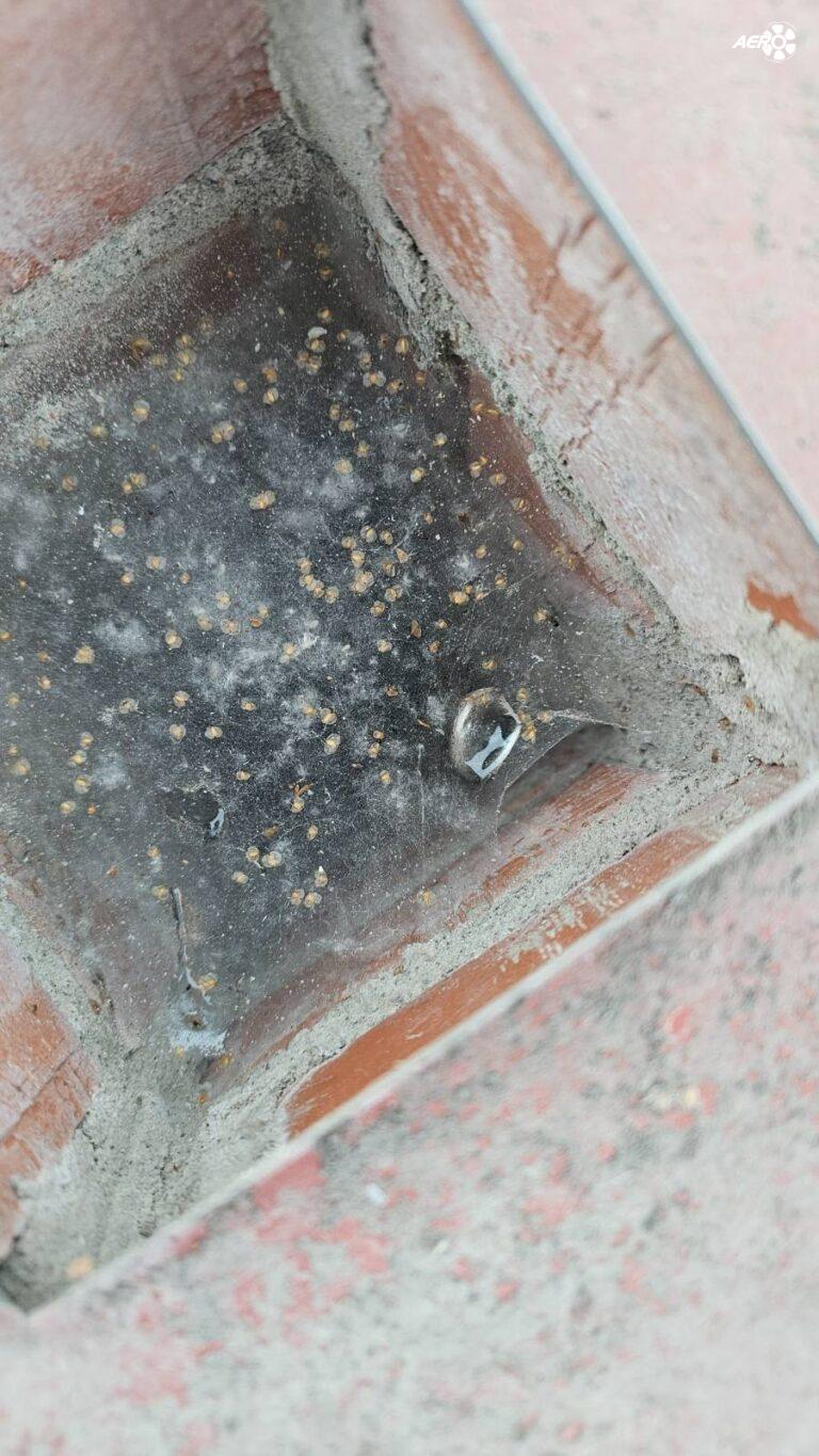 viber_image_2023-10-24_16-32-37-504